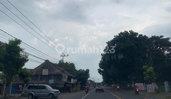 Tanah Dijual Murah Magetan Maospati Dekat Unesa 100 Jutaan