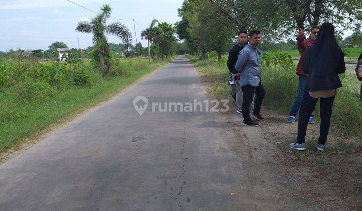 Tanah Madiun Murah Nglames Potongan Harga 30 Juta 2