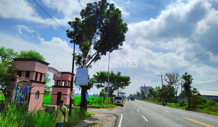 Hanya Jika Anda Beli Tanah Area Madiun Nglames 1