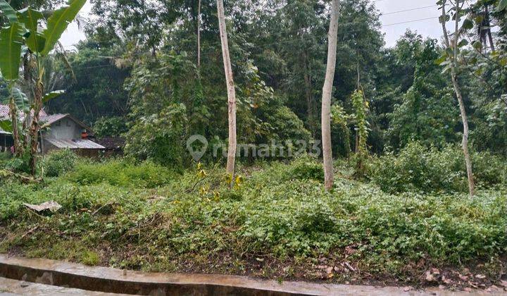 Tanah Pekarangan 1300 Meter Harga 200jt Di Purworejo 30 Menit Dari Bandara Yia Tanah Di Banyuurip 1200.0 M² 1