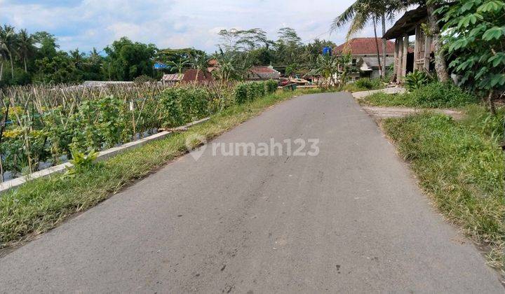 Tanah Di Jual Murah Di Borobudur Dekat Balkondes Tuk Songo 2