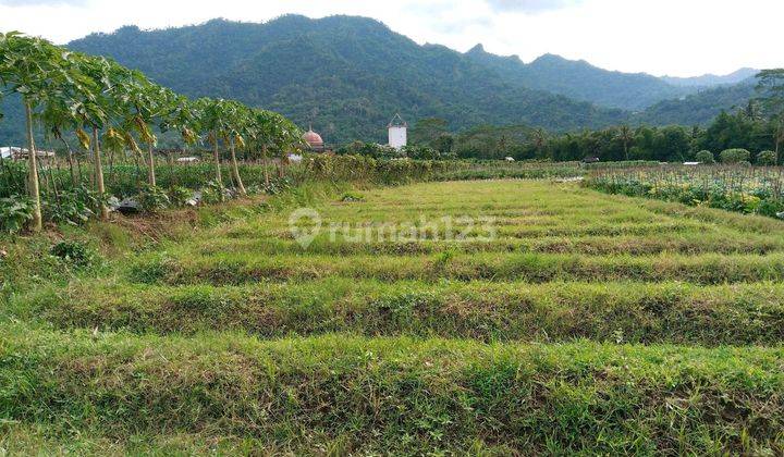 Tanah Di Jual Murah Di Borobudur Dekat Balkondes Tuk Songo 1