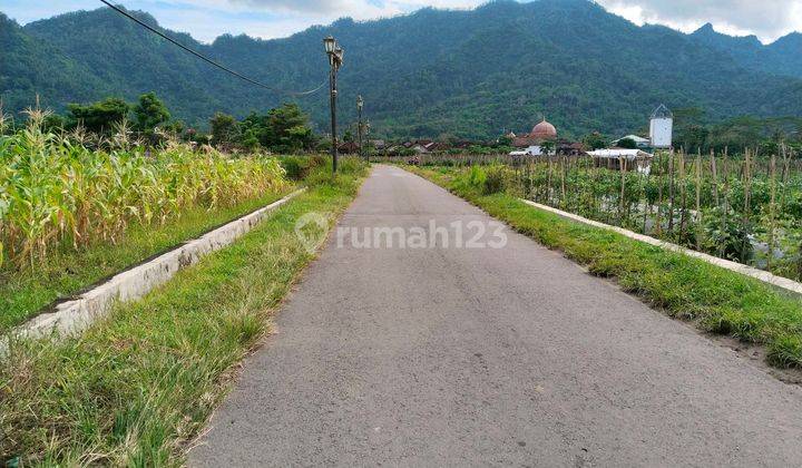 Tanah Di Jual Murah Di Borobudur Dekat Balkondes Tuk Songo 2