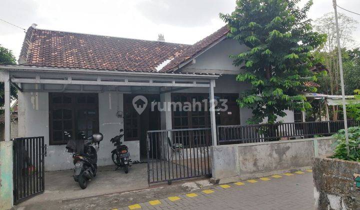 Rumah Kontrakan Dekat Ugm Jogja Sinduadi Mlati Sleman Yogyakarta 