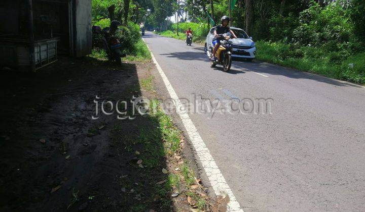 Tanah Murah Dijual Magelang Dekat Candi Borobudur Jawa Tengah 2