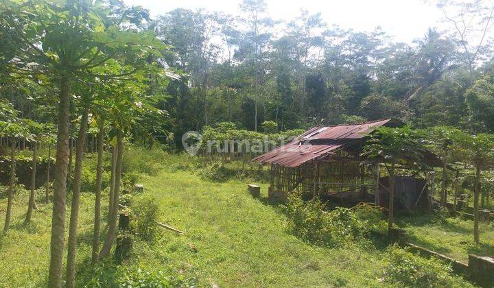 Tanah Pekarangan Murah Hanya 175rb / Meter Di Kaloran Temanggung Jawa Tengahtemang Tanah Di Pasar Pahing Desa, Jl. Temanggung-kaloran, Kaloran, Kaloran, Temanggung, Jawa Tengah, Indonesia, 56282, Kaloran 7445.0 Shm M² 1