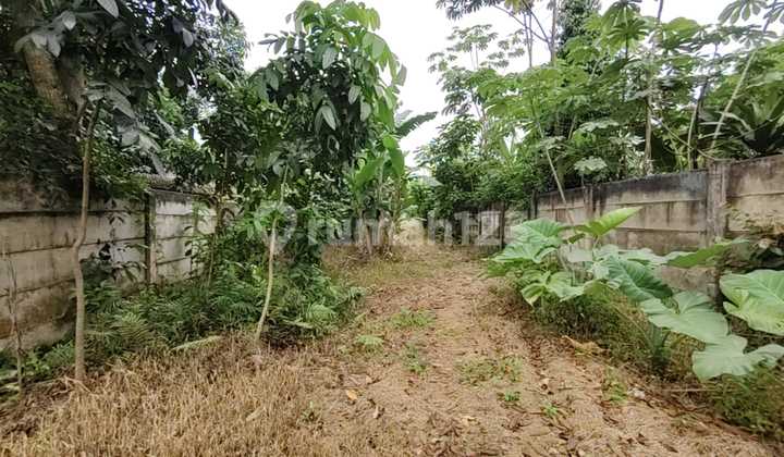 Strategic Land Suitable for Business in Pagedangan Strategic Land Suitable for Business in Pagedangan