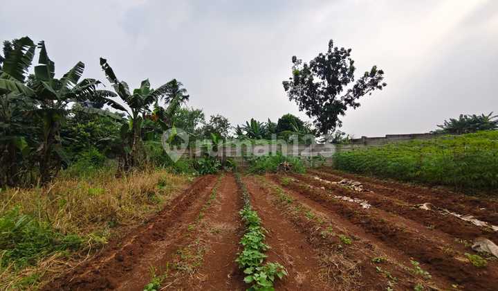 Super Strategic Land Pagedangan 50m Jl Bsd Grand Boulevard