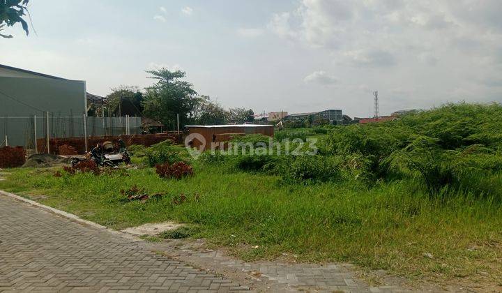 Jarang Ada Tanah Jogja Di Dalam Ringroad Dengan View Sawah 1