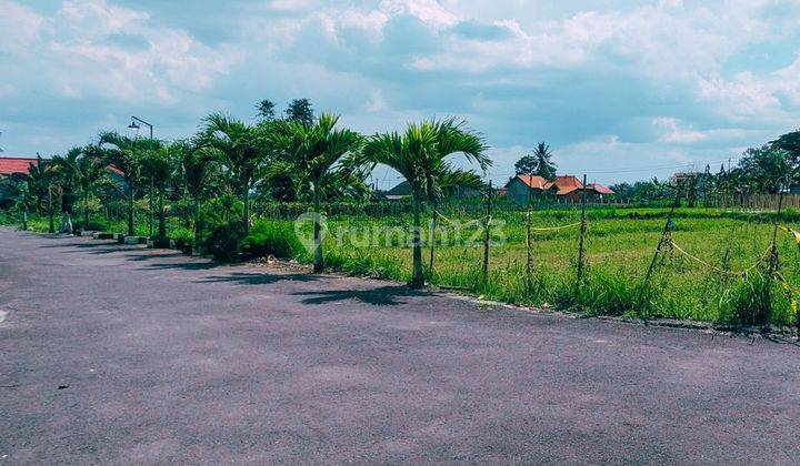 Tanah 1 Jutaan Selomartani Jogja 200m Jl.raya Purwomartani 1