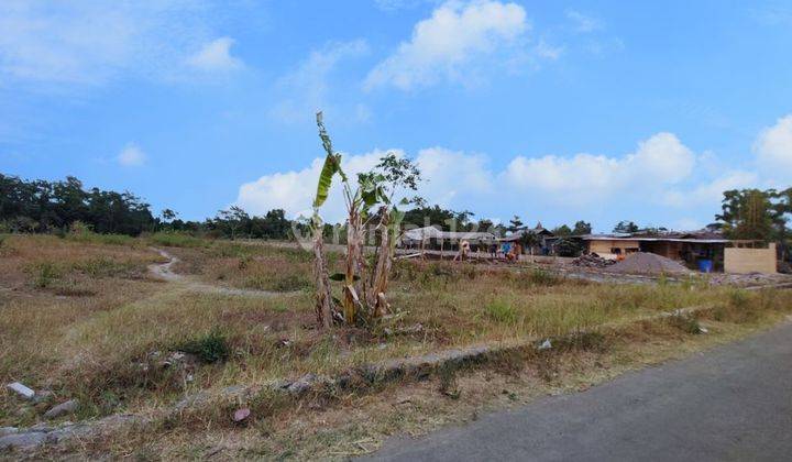 Tanah Ngaglik Jogja Hanya 500 Alun alun Denggung Sleman Jogja  1