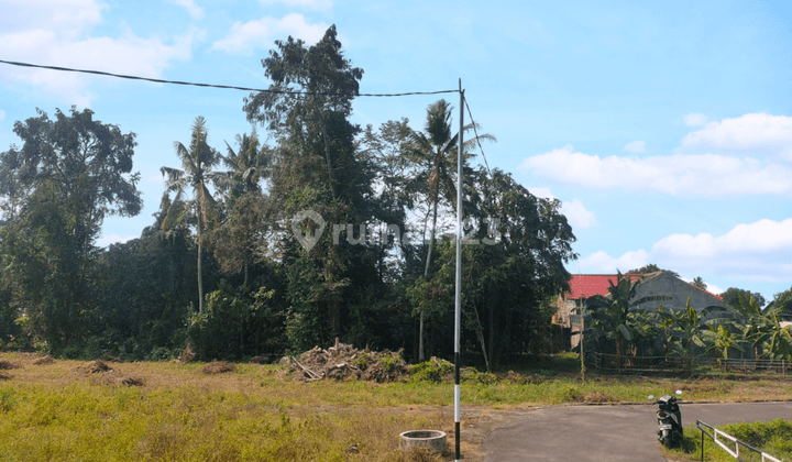 Tanah 100 Jutaan Samping Jl.raya Selomartani Jogja  1