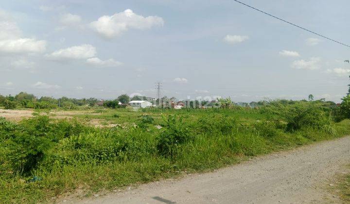 Jarang Ada Tanah Trihanggo Dalam Ringroad Harga 5 Jutaan m 2