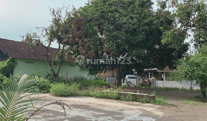 Tanah Ngaglik Jogja 300 Jl.raya Palagan Beli Sekarang Juga  2