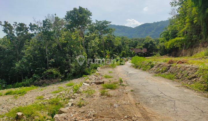 Tanah Murah Pleret Jogja 5 Menit Rs Nur Hidayah SHM  2