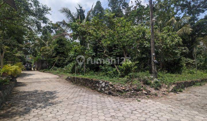 Tanah Murah Di Kaliurang Harga 1 Jutaan M 400m Jl.raya Pakem 2