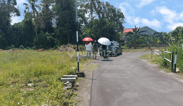 Tanah 100m Jl.raya Selomartani Hanya 1 Jutaan m Jogja  2