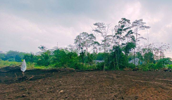 Tanah Kaliurang 1 Jutaan Saja Legalitas SHM Lingkungan Nyaman  2