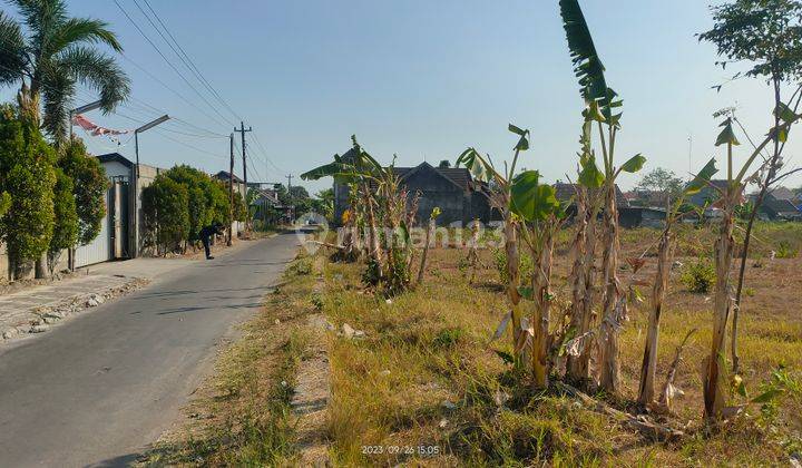 Tanah Murah Jogja Hanya 4 Menit Alun alun Denggung 2