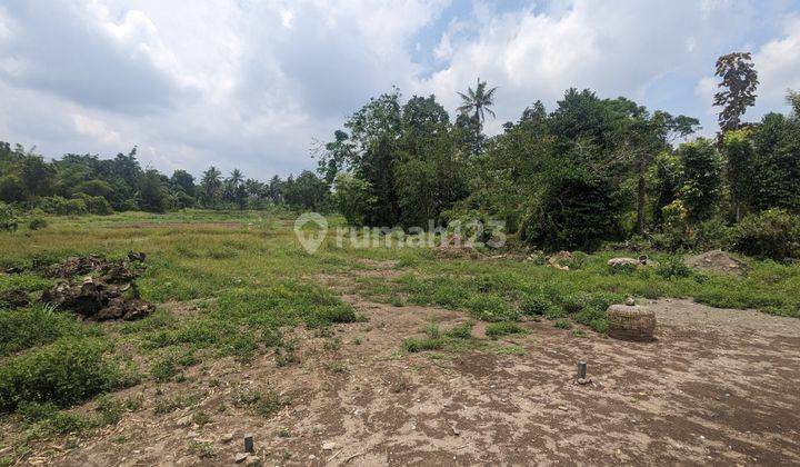 Tanah Murah View Gunung Merapi Hanya 1 Jutaan m SHM Sleman  2