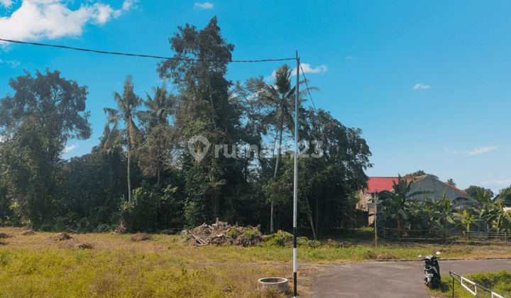 Tanah Jogja Utara Stadiun Maguwo SHM P Bisa Dicicil  1