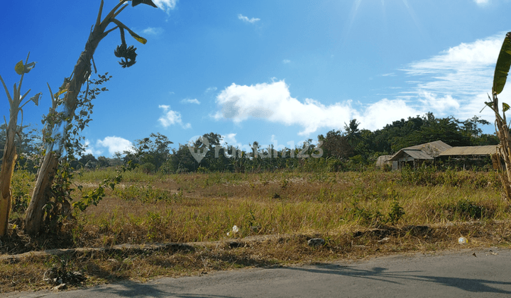 Tanah Ngaglik Jogja Hanya 400m Alun alun Denggung 1