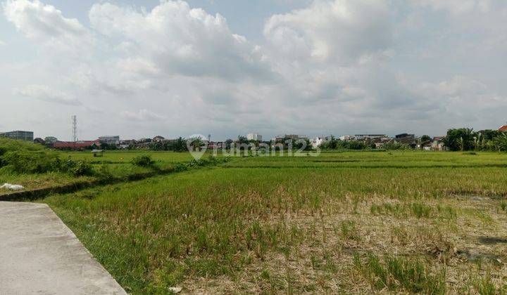 Tanah View Hamparan Sawah Cocok Untuk Hunian Caturtunggal SHM 2