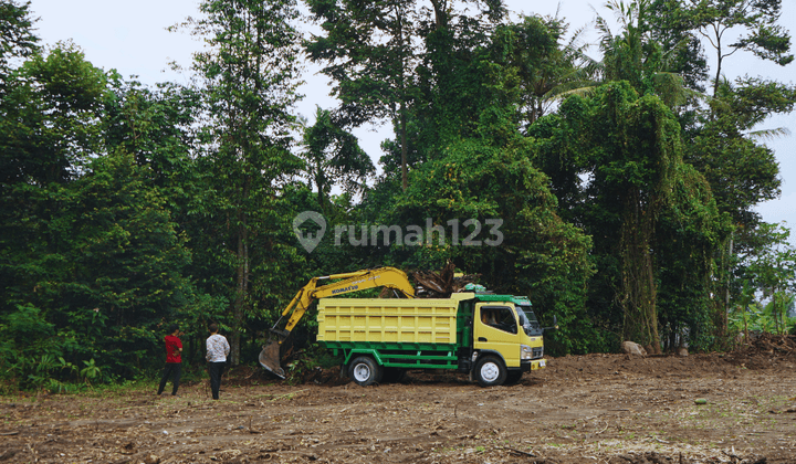 Tanah Selomartani Kalasan Jogja 100 Jutaan Legalitas SHM  2