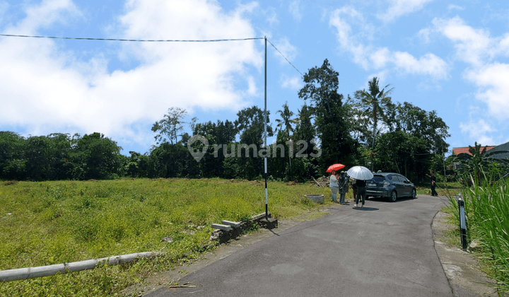 Tanah 100m Jl.raya Selomartani Hanya 1 Jutaan m Jogja  1