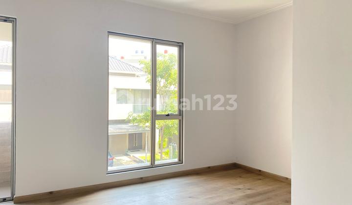 Disewakan Cluster Violin 8x10 Kosongan 2