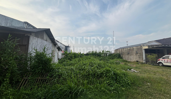 Tanah Luas di Desa Jati Reja Kampung Rawa Bangkong