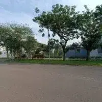 Lokasi Terbaik Kavling Raya Palm Beach Pakuwon City Row Jalan Terbesar 2