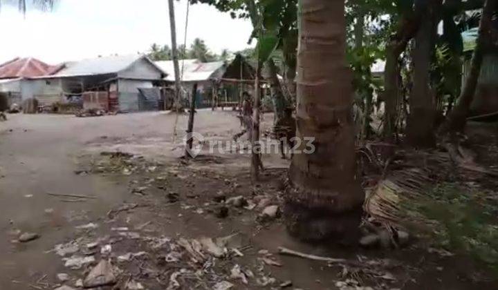 Tanah Di Tanjung Lombok 8,5 M Nego  2