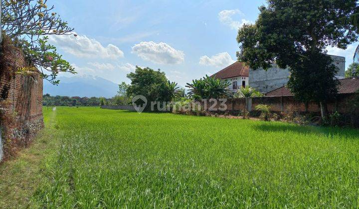 Bali State Land Area 7200 m² 1