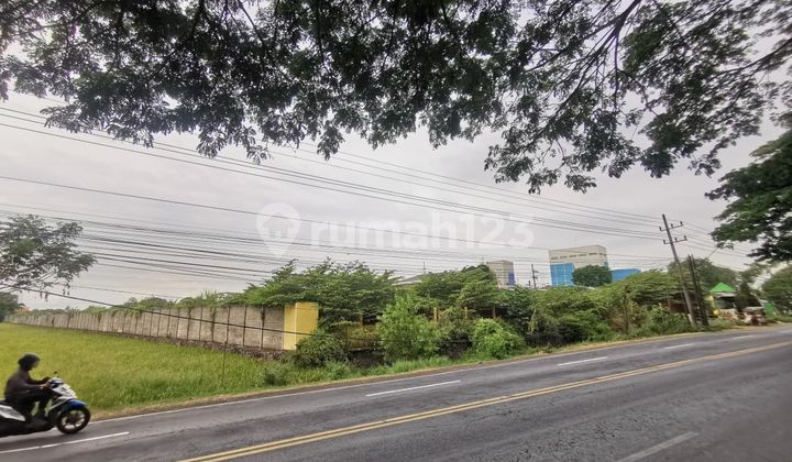 Super Hot Listing Tanah 0 Jalan Raya Provinsi Area Industri Beji