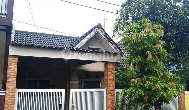 Dijual Rumah Grand Deltasari Cluster Cateleya Dijual Rumah Grand Deltasari Cluster Cateleya