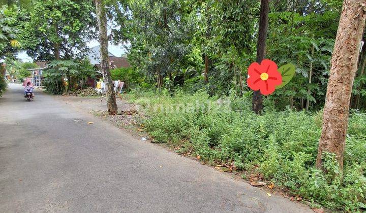 Murah Banget!!!!tanah Cantik Strategis Nyaman Dan Asri Di Sumberadi Mlati Sleman Dekat Pasar Cebongan 1