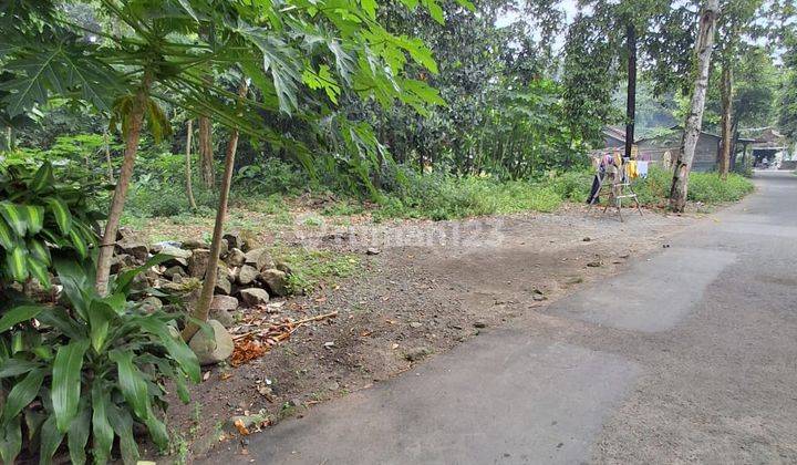 Tanah Cantik Strategis Nyaman Dan Asri Di Sumberadi Mlati Sleman Dekat Pasar Cebonganlloktanah Cantik Strategis Nyaman Dan Asri Di Sumberadi Mlati Sleman Dekat Pasar Cebongan 1