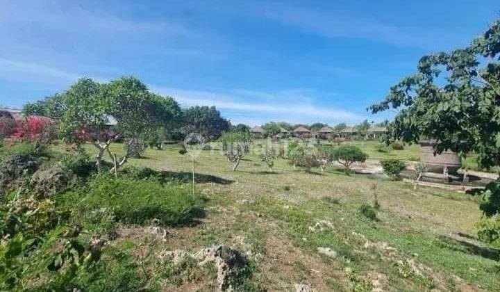 For Sale 5.6 Hectares of Land SHM Do Uluwatu 2