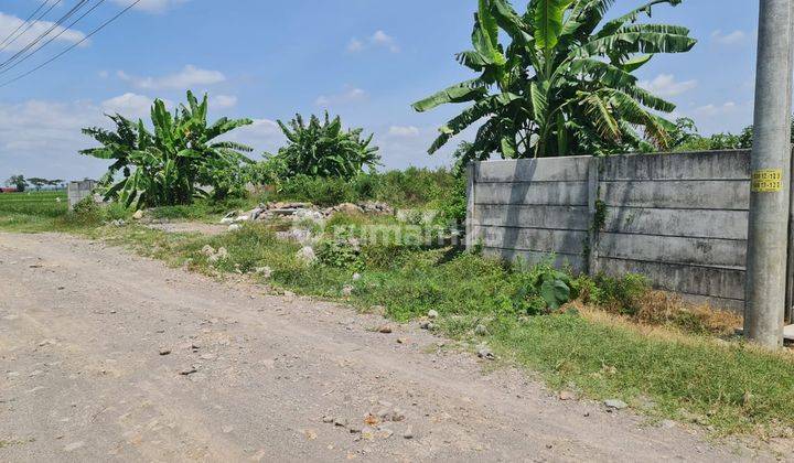 Tanah Zona Kuning Untuk Industri di Grogol Dekat Solo Baru 2
