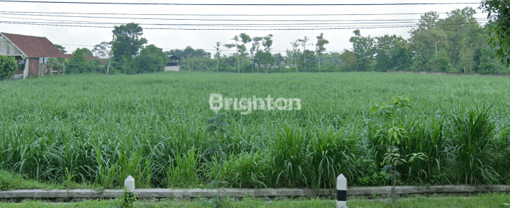 TANAH LUAS, STRATEGIS 0 JALAN PROVINSI, MURAH 1