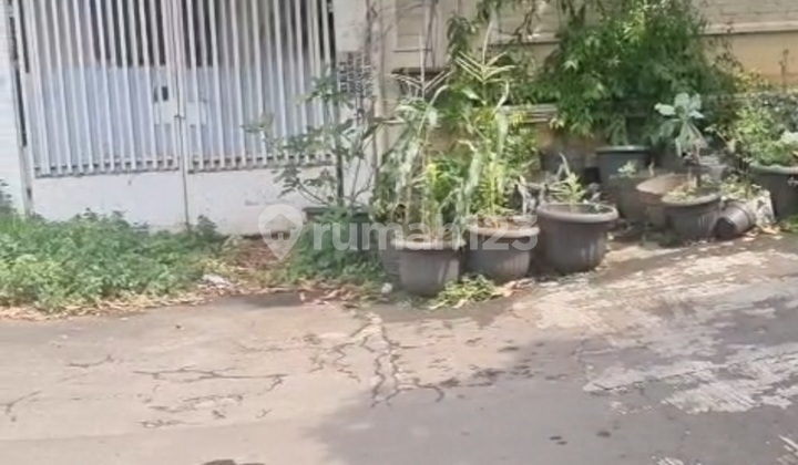 Dijual Murah Rumah Tua Hitung Tanah di Pluit Sakti Jakarta Utara Luas Tanah 325 M² ( 13 X 25 M² ) Luas Bangunan 250 M² Sertifikat Ada 2 Sh M Hadap Timur Sudah Dibagi Menjadi 2 Kalvling. 1 Kavling Nya @ ( 6,25 M² X 25 M²) Harga 6 M Nego 2