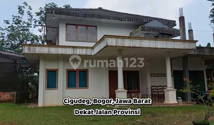 For Sale: Villa and Land for Agrobusiness in Cigudeg - Ciahok, Bogor, West Java. Land Area: 41,000 M2 (4.1 Ha). Building Area: 1,000 M2. Many coconut, durian, red ginger, and cassava plants. 7 SHM Certificates + 1 Girik for 3,000 M2. Quick Sale at 10 M (Negotiable).