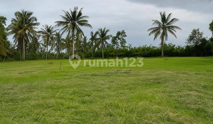 For Sale Land in Melaya Jembrana Bali - Strategic Investment in West Bali  
Land Area: 7000 m2 (70 Are) consisting of 2 certificates:  
- 5000 m2  
- 2000 m2  
Certificate: SHM (Freehold Title)  
Price per Are: 40 million IDR / Are  
Total Land Price: 2.8 billion IDR (negotiable)