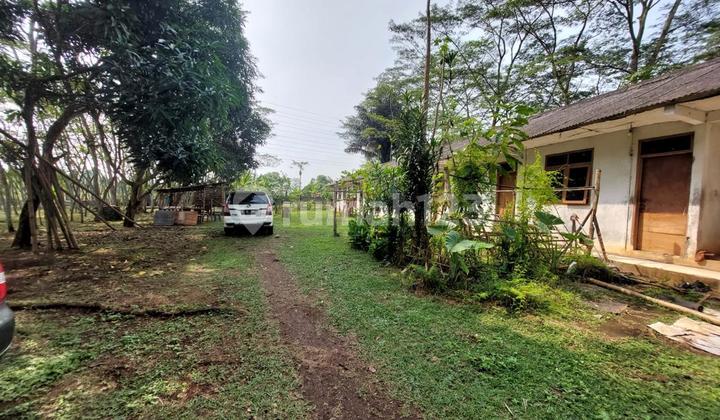 For Sale LAND in CIKUPA, KP Cayur Street - CIKUPA - Land Area approx. 2.4 HA (SHM 18,000 m2; approx. 6,000 m2 Girik) - Rp 1.2 million/m (negotiable)