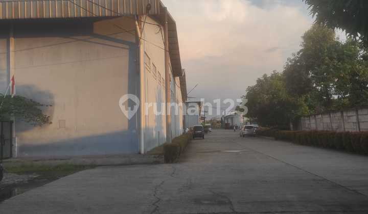 Disewakan Murah Gudang Plus Kantor 2 Lantai di Komplek Pergudangan Karawaci, Tangerang Kota Luas Tanah : 2.500 M2 Luas Bangunan : 2.000 M2 Akses Jalan Kontainer 40Ft Harga Sewa = 1.2 M /Thn ,Minimal Sewa 2 Tahun Disewakan Murah Gudang Plus Kantor 2 Lantai di Komplek Pergudangan Karawaci, Tangerang Kota Luas Tanah : 2.500 M2 Luas Bangunan : 2.000 M2 Akses Jalan Kontainer 40Ft Harga Sewa = 1.2 M /Thn ,Minimal Sewa 2 Tahun