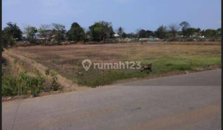 Dijual Tanah Komersial Di Sindang Jaya Sukatani Rajeg Pasar Kemis 1