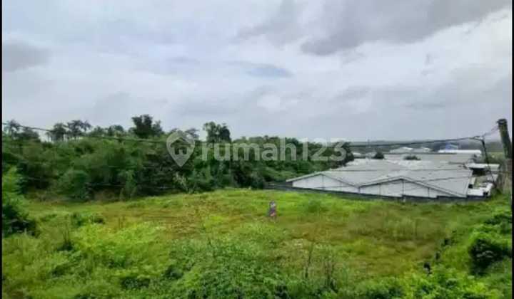 For Sale Land in Kutruk Tiga Raksa. Industrial Land: 3,500 m². Certificate SHM Price 2.3 Million/m².