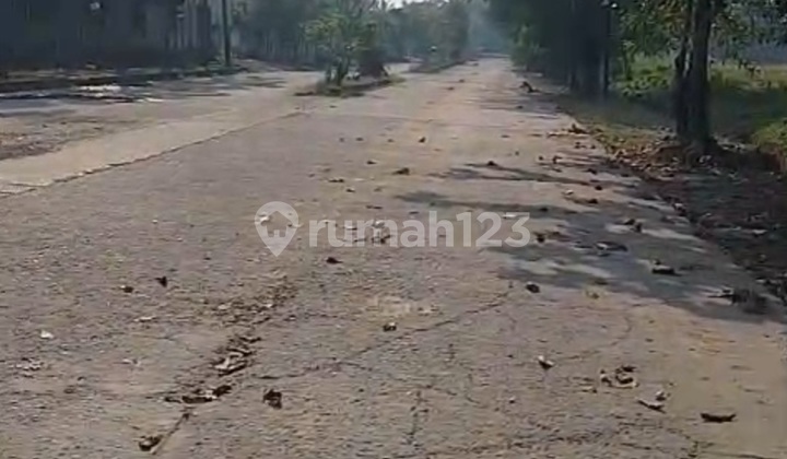 Di Jual Tanah Lokasi Kawasan Cba Jawilan Luas Tanah 10 Hektar Bisa Di Ambil Sesuai Kebutuhan Surat Shm Zona Industri Akses Kontener 40 Fit Tanah Kotak Tanah Siap Bangun. Harga 1,5 Jt/m2 Nego Total Harga 150 M Nego Di Jual Tanah Lokasi Kawasan Cba Jawilan Luas Tanah 10 Hektar Bisa Di Ambil Sesuai Kebutuhan Surat Shm Zona Industri Akses Kontener 40 Fit Tanah Kotak Tanah Siap Bangun. Harga 1,5 Jt/m2 Nego Total Harga 150 M Nego