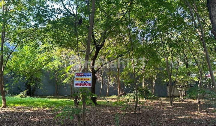 Di Jual Kavling Pik1 Pinisi Permai 7 Lt 17.5 M² X 32 M² ( 544m² ) Siap Bangun Row Lebar Bisa 3 Mobil Seberang Tanah Kosong (deretan Rumah Hanya 1 Sisi Jalan) Jalan Buntu, Tidak Banyak Lalu Lalang Mobil Harga Nett 25.5 Jt/m Total Harga 13.9 M Nego.